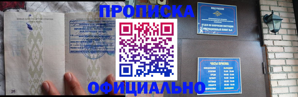 прописка поиск в Мончегорске